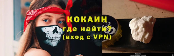 дживик Надым