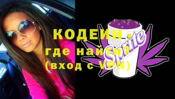 дживик Надым
