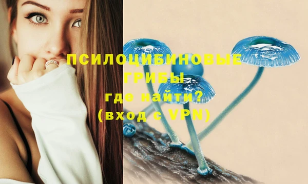 эйфоретик Майский