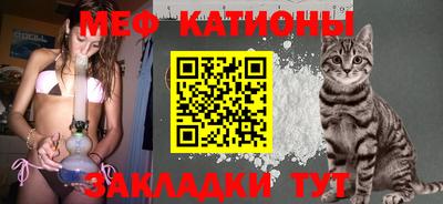 стафф Бийск