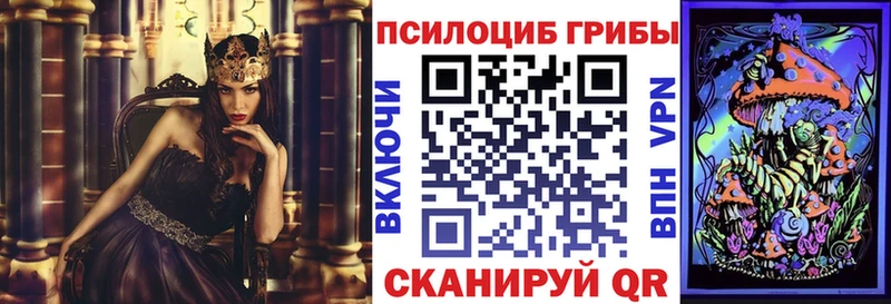 Псилоцибиновые грибы прущие грибы  Иваново 