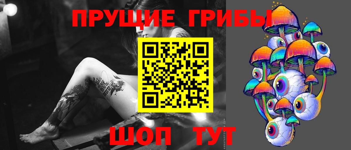 Галлюциногенные грибы Psilocybe  Вход с VPN  Иваново 